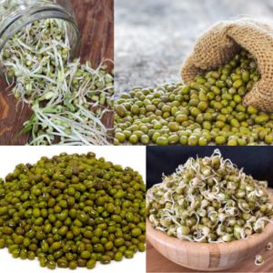 Mung Beans