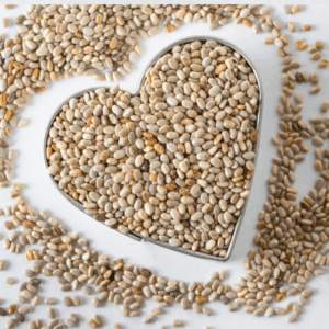 Organic Chia Seeds - White