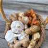 Organic Nature's Immune Booster - ADD-ON TO BOX ORDER - Image 3