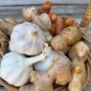 Organic Nature's Immune Booster - ADD-ON TO BOX ORDER - Image 2