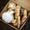 Organic Nature's Immune Booster - ADD-ON TO BOX ORDER