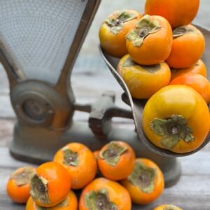 Organic Persimmons Pack (5)  -  ADD-ON TO BOX ORDER