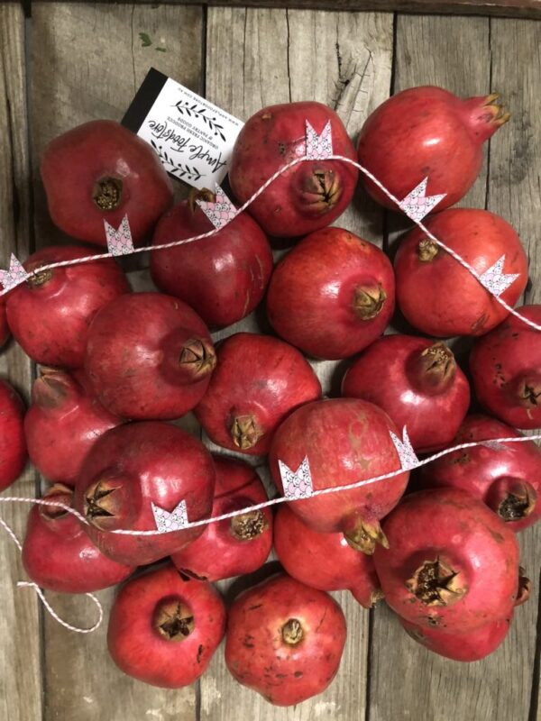 Terra Madre Pomegranate Vinegar with Mother 500ml - Image 2