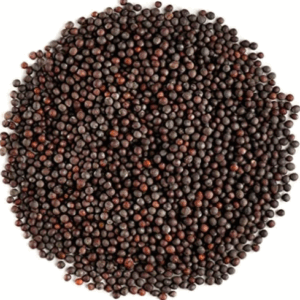 Organic Brown Mustard Seeds