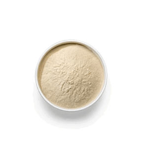 Organic Honey Powder