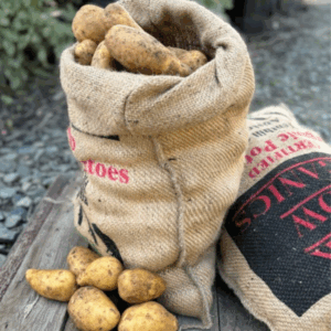 Organic Dutch Cream Potatoes 20kg