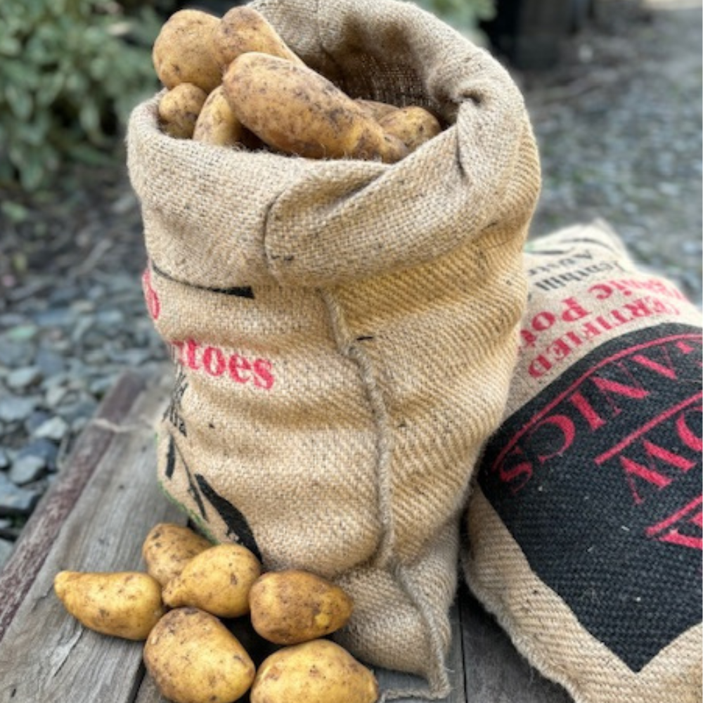 Organic Dutch Cream Potatoes 20kg