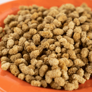 Bowl of organic dried mulberries