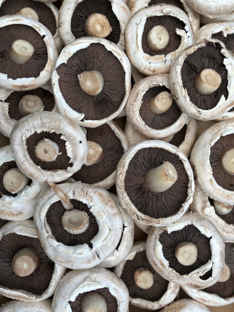 ADD-ON Mushroom Flats - Image 2