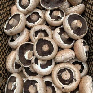 ADD-ON Organic Swiss Mushroom Flats - approx 1kg ***** One Day Special *****