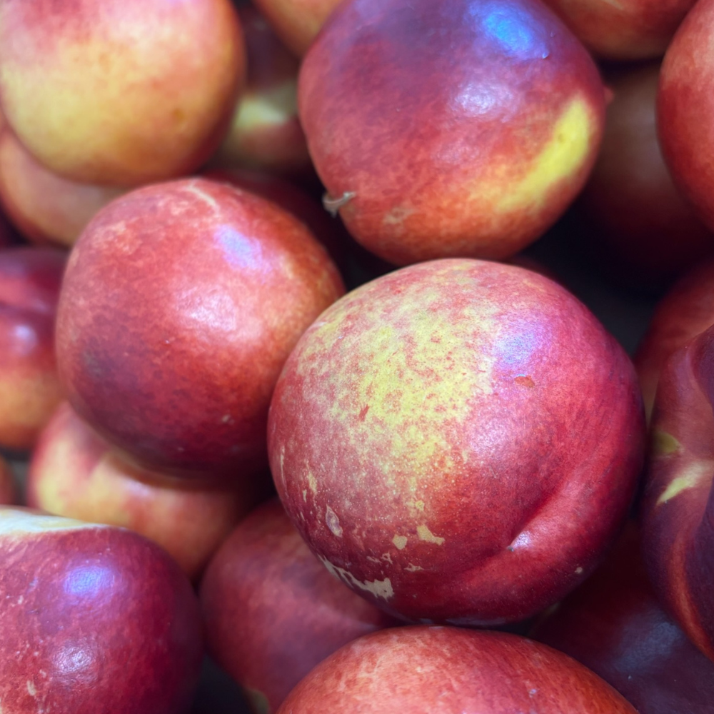 ADD-ON Organic Nectarines Snack Pack (5)