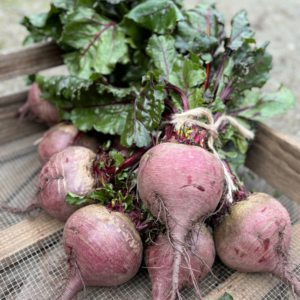 ADD-ON Organic Beetroot Bunch