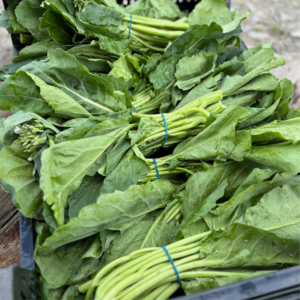 ADD-ON Organic Chinese Broccoli Bunch (Gai Lan)