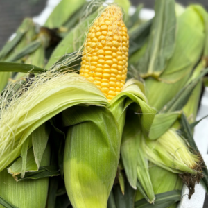 ADD-ON Organic Corn Cob x 3