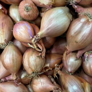 ADD-ON Organic Shallots