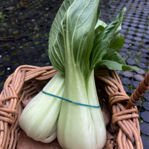 ADD-ON Organic Bok Choy