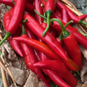 ADD-ON Organic Red Chillis - approx 200gm